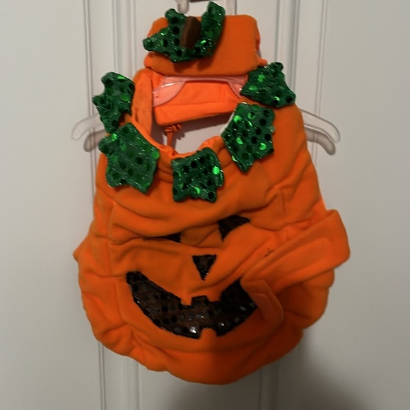 Dog Wardrobe 🌸 - Picture 3 of 7